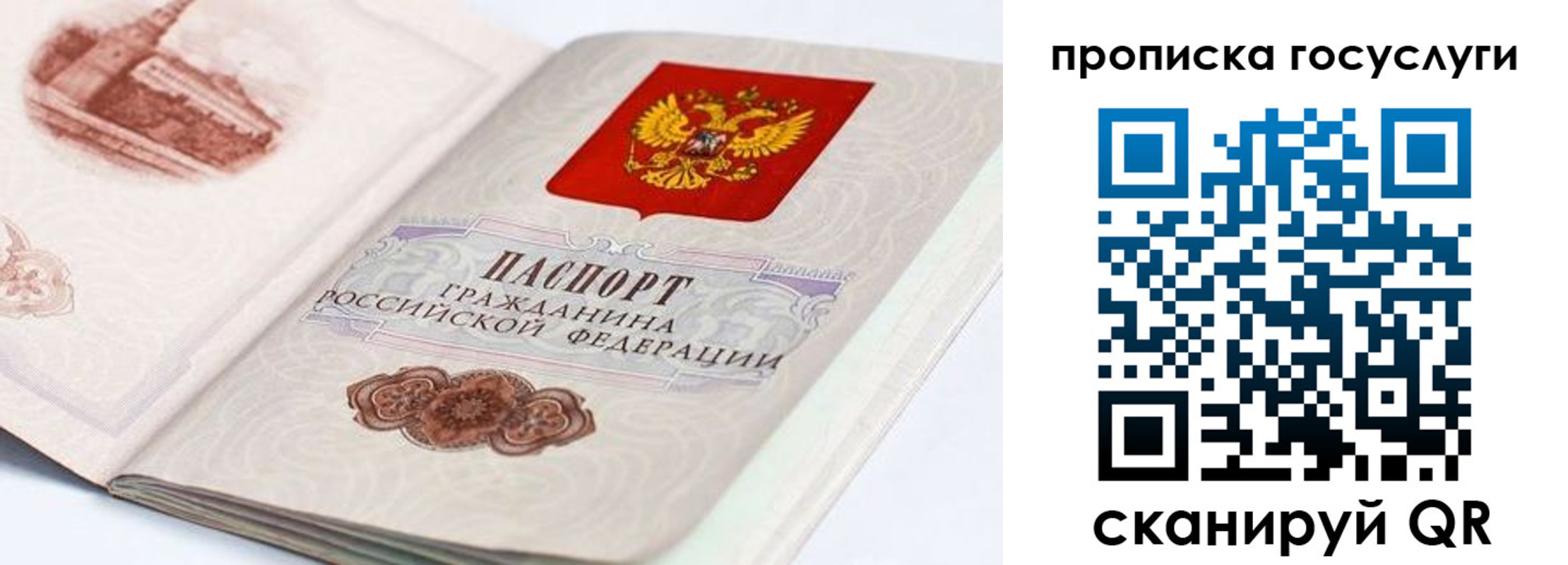 прописка гарантия в Дедовске